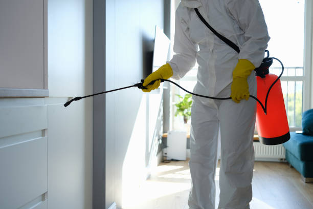 Attic Mold Removal in Ames Lake, WA